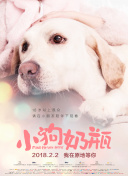 影之诗：打破常规，与对手脑力对决的秘诀